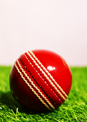 Red Elite League 142g