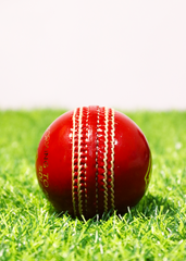 Red Elite League 142g