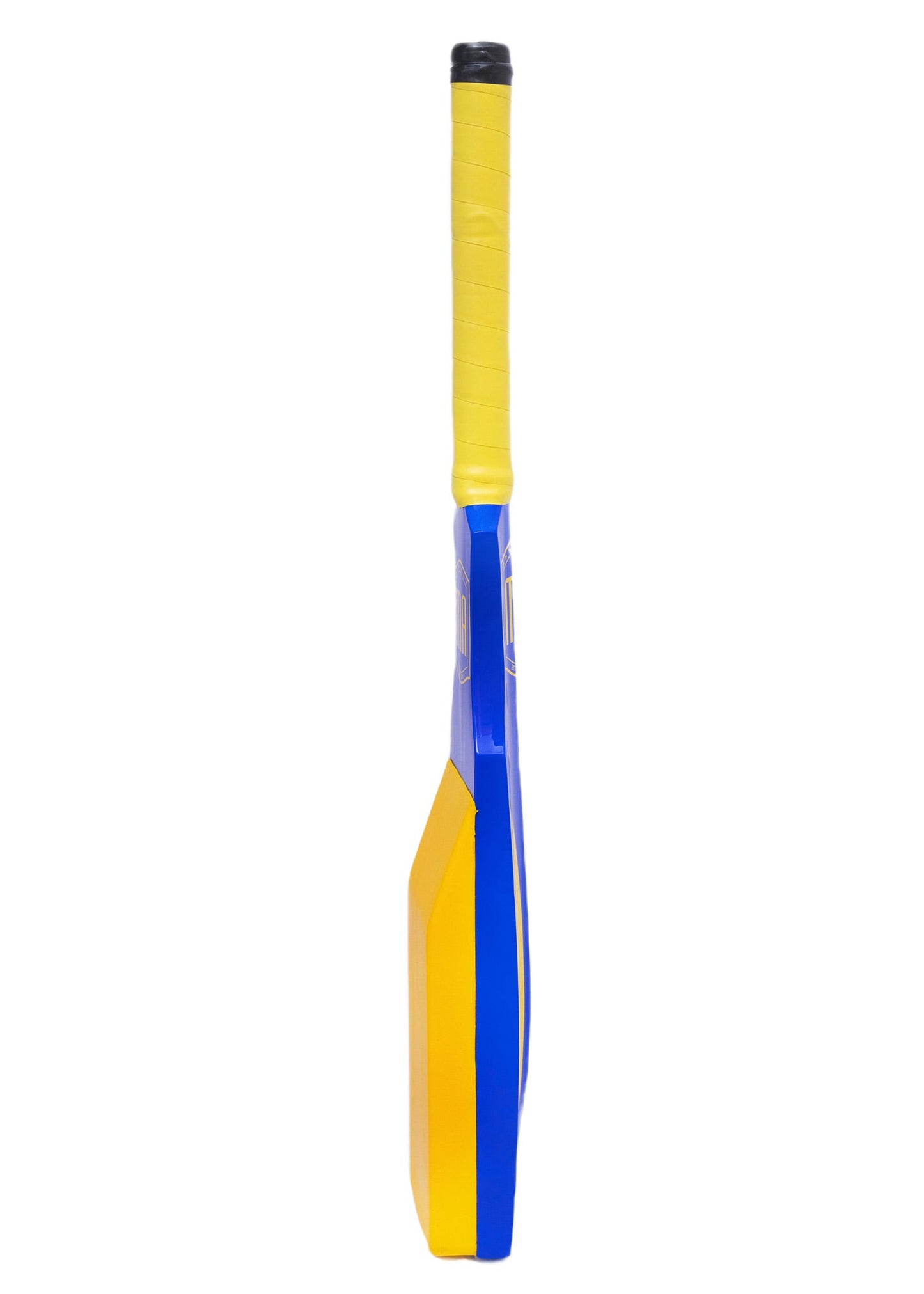 MA Catching Bat