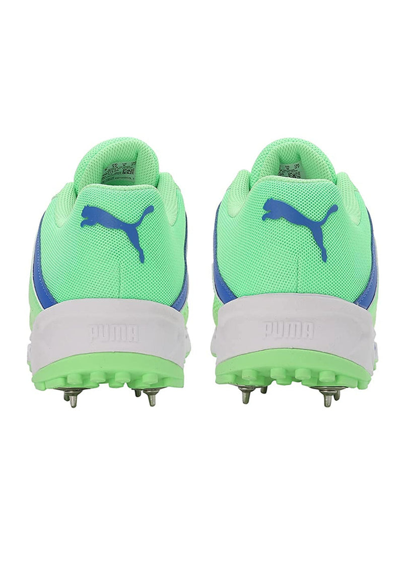 Puma evospeed cricket shoes green best sale